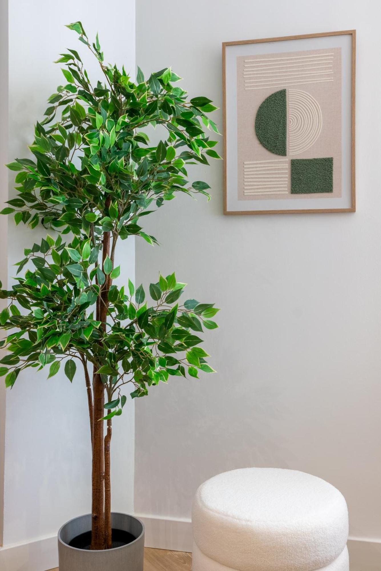 Diseno Y Comodidad En Bami * Seville